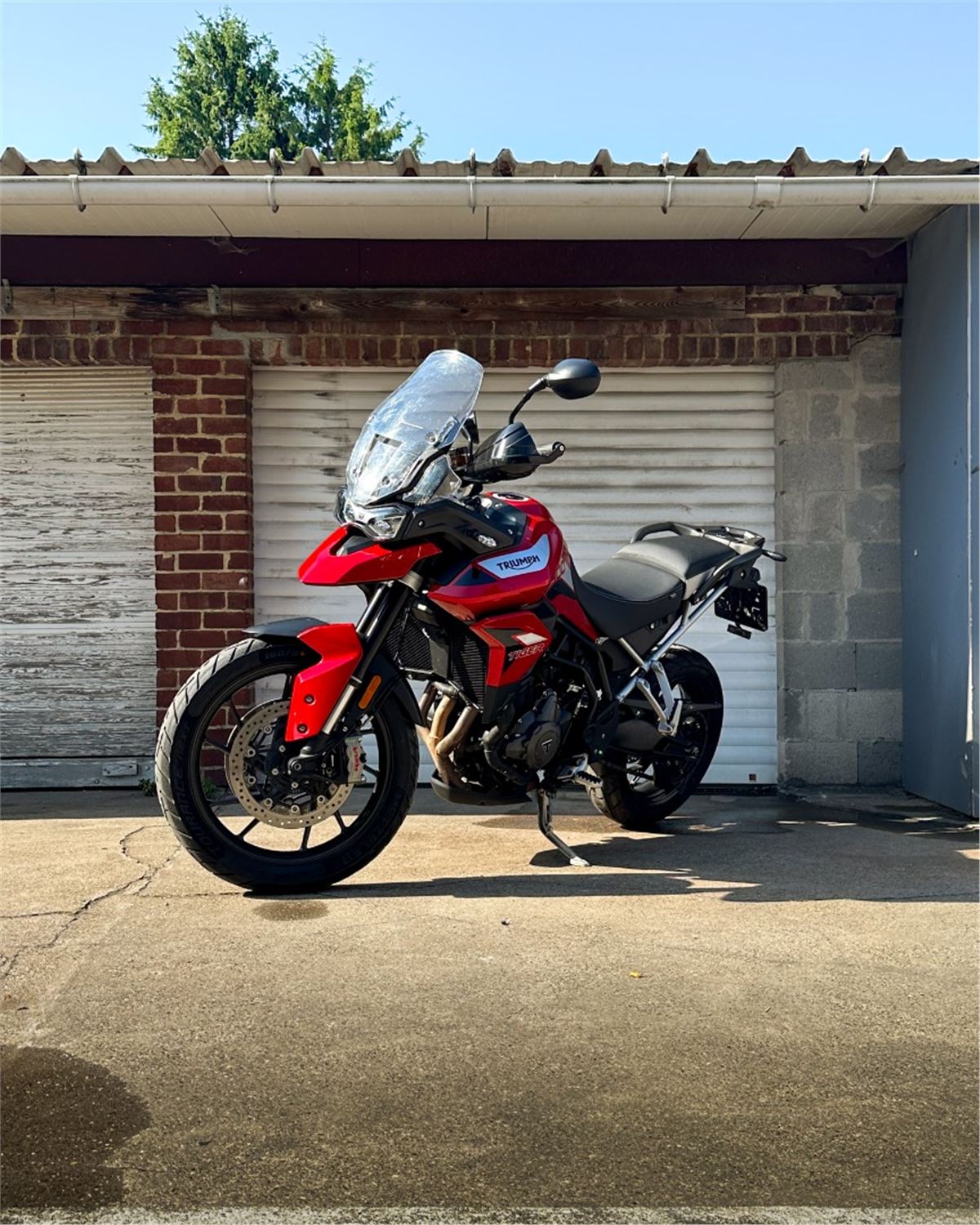 Tiger 900 GT PRO
